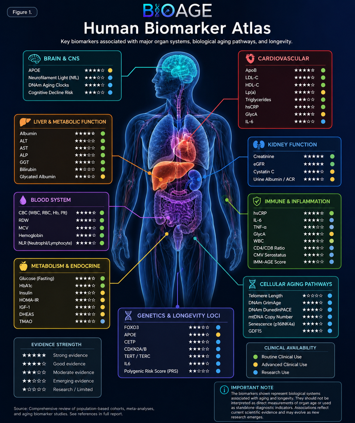 BioAge Human Biomarker Atlas